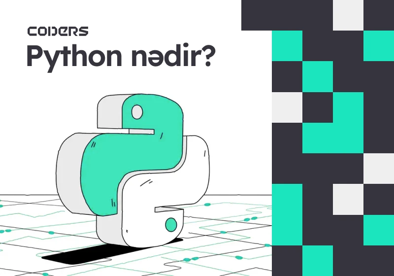 Python Nədir?