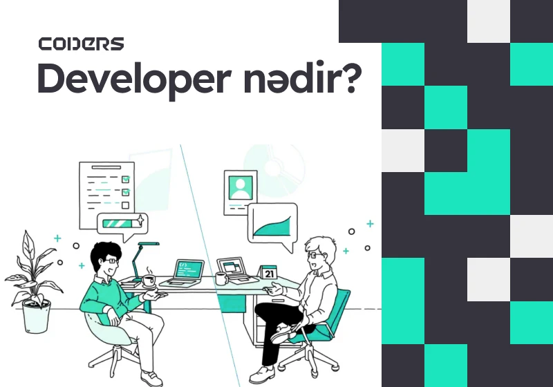 Developer Nedir?