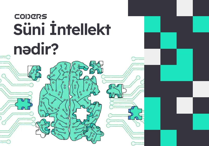 Suni İntellekt Nedir?